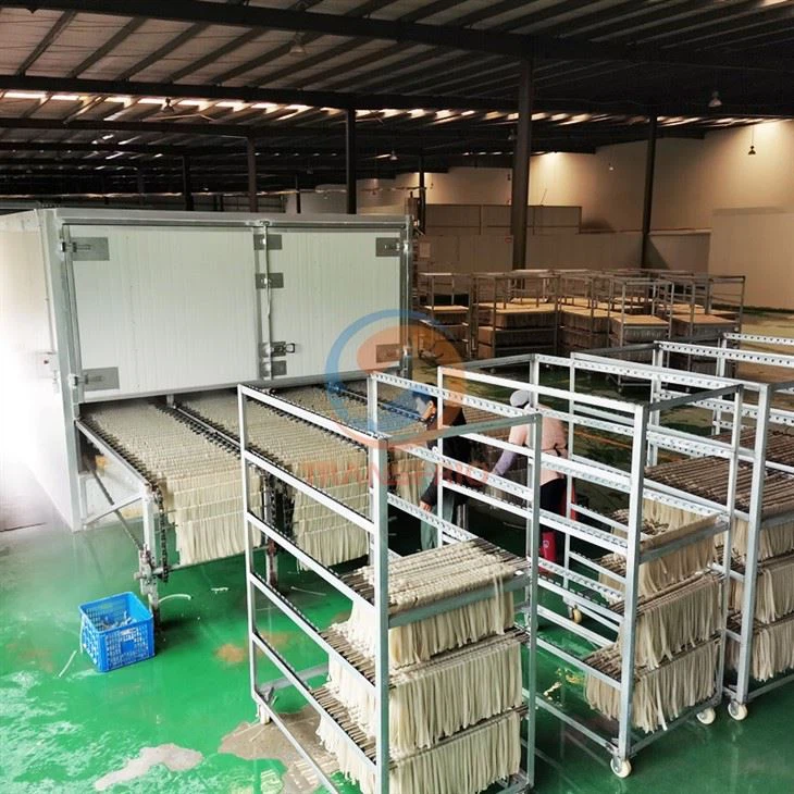 Noodle Dryer Machine